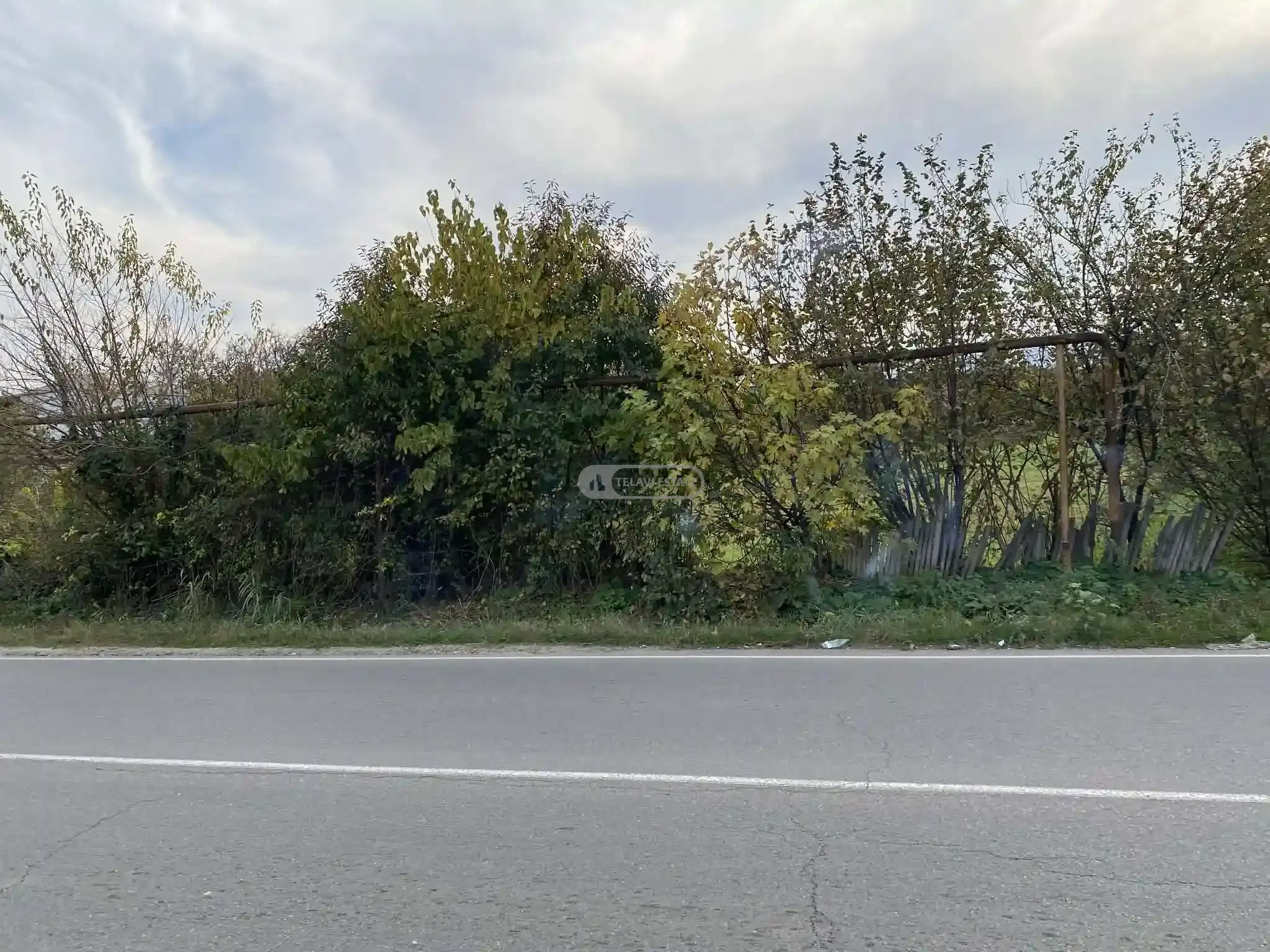 Land plot in Kvemo Khodasheni