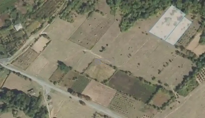 Land Plot for Sale in Telavi, Lapankuri