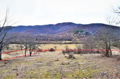 Земельный участок в Телави, Лапанкури