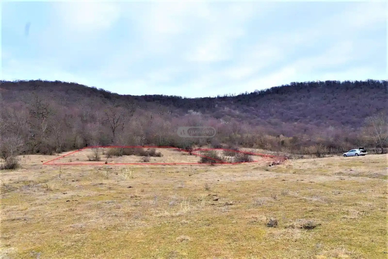 Land Plot for Sale in Telavi, Lapankuri