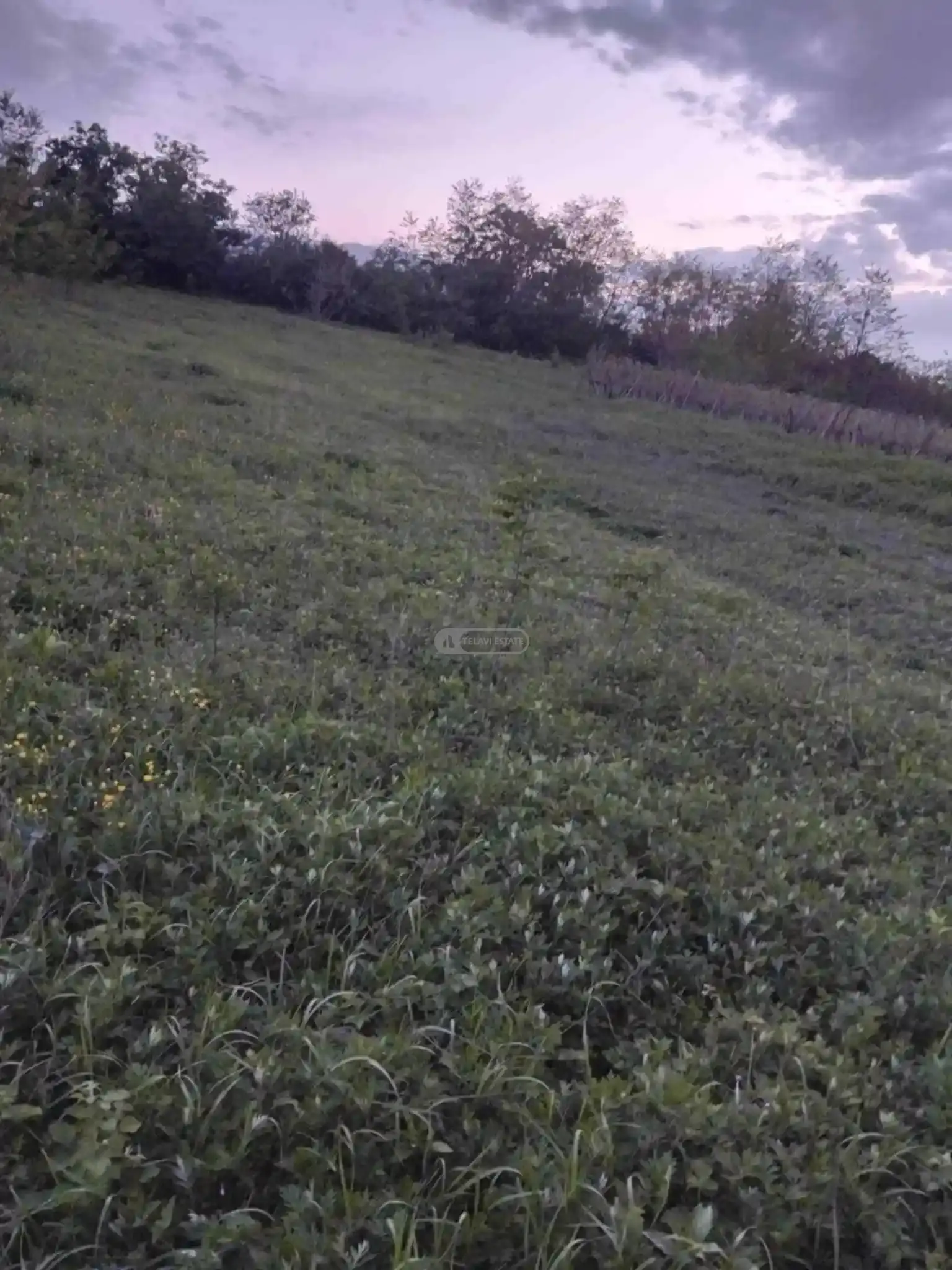 Land for Sale in Kondoli