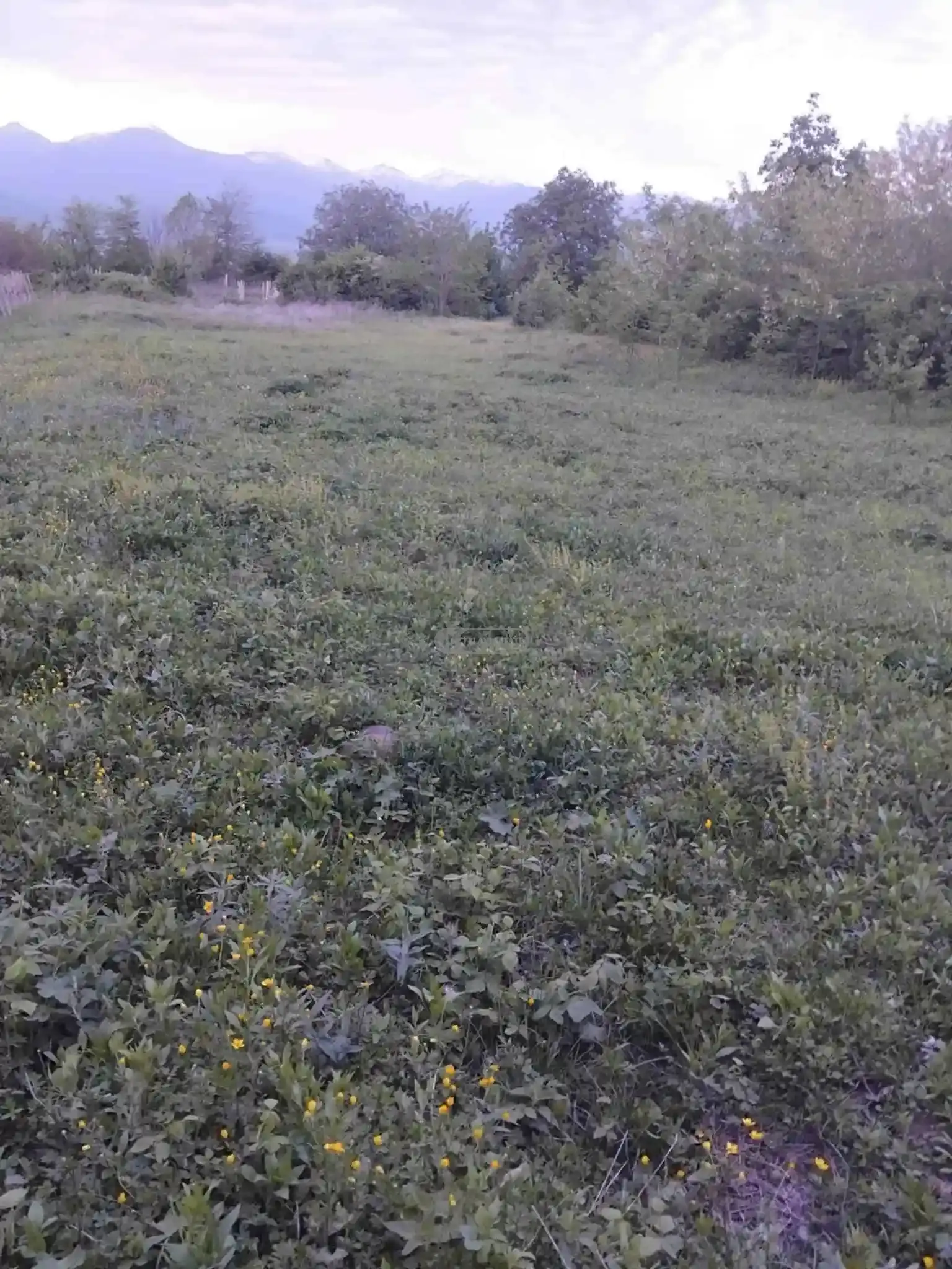Land for Sale in Kondoli
