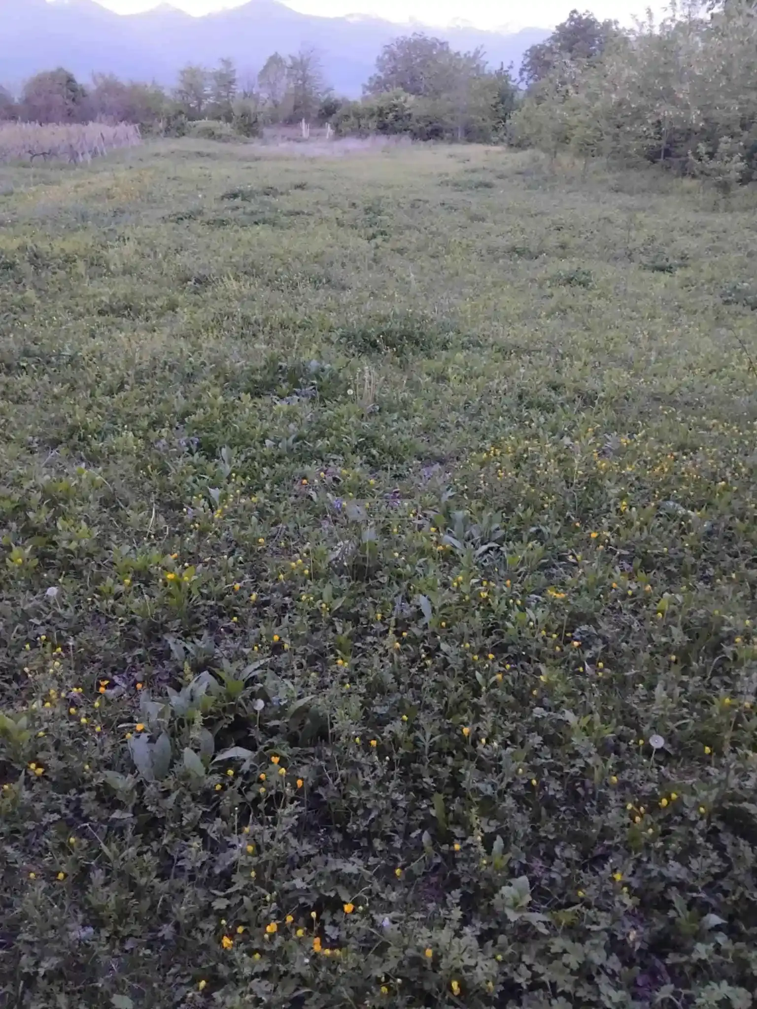 Land for Sale in Kondoli