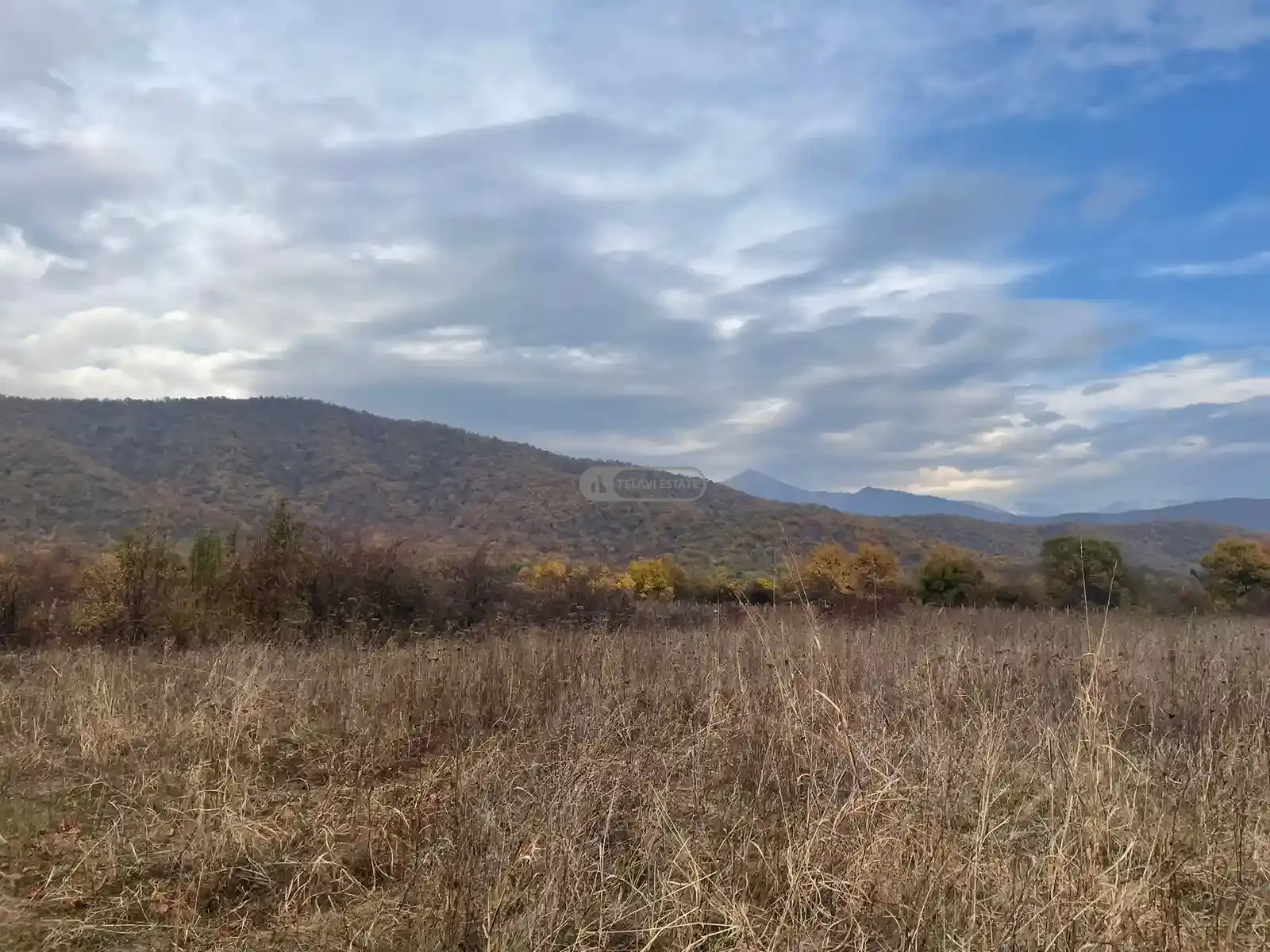 Large Land Plot for Sale in Gremi