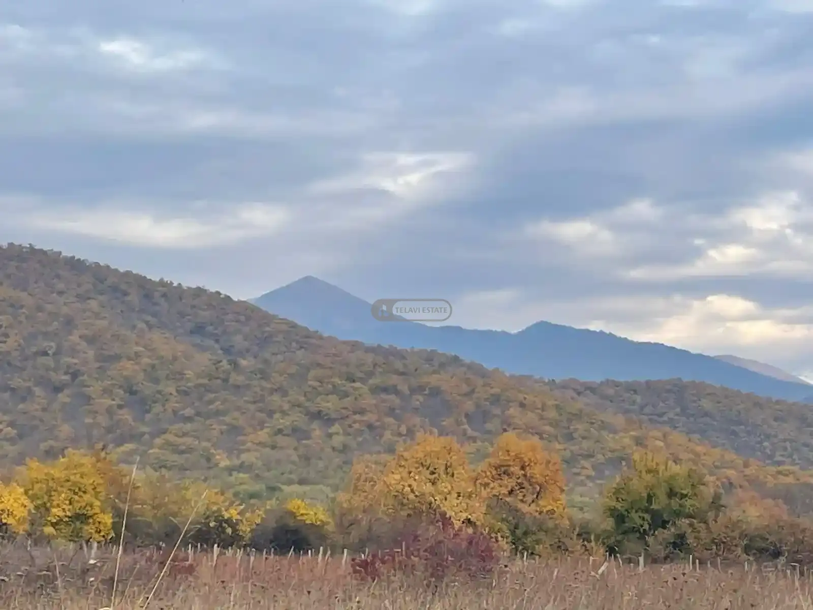 Large Land Plot for Sale in Gremi