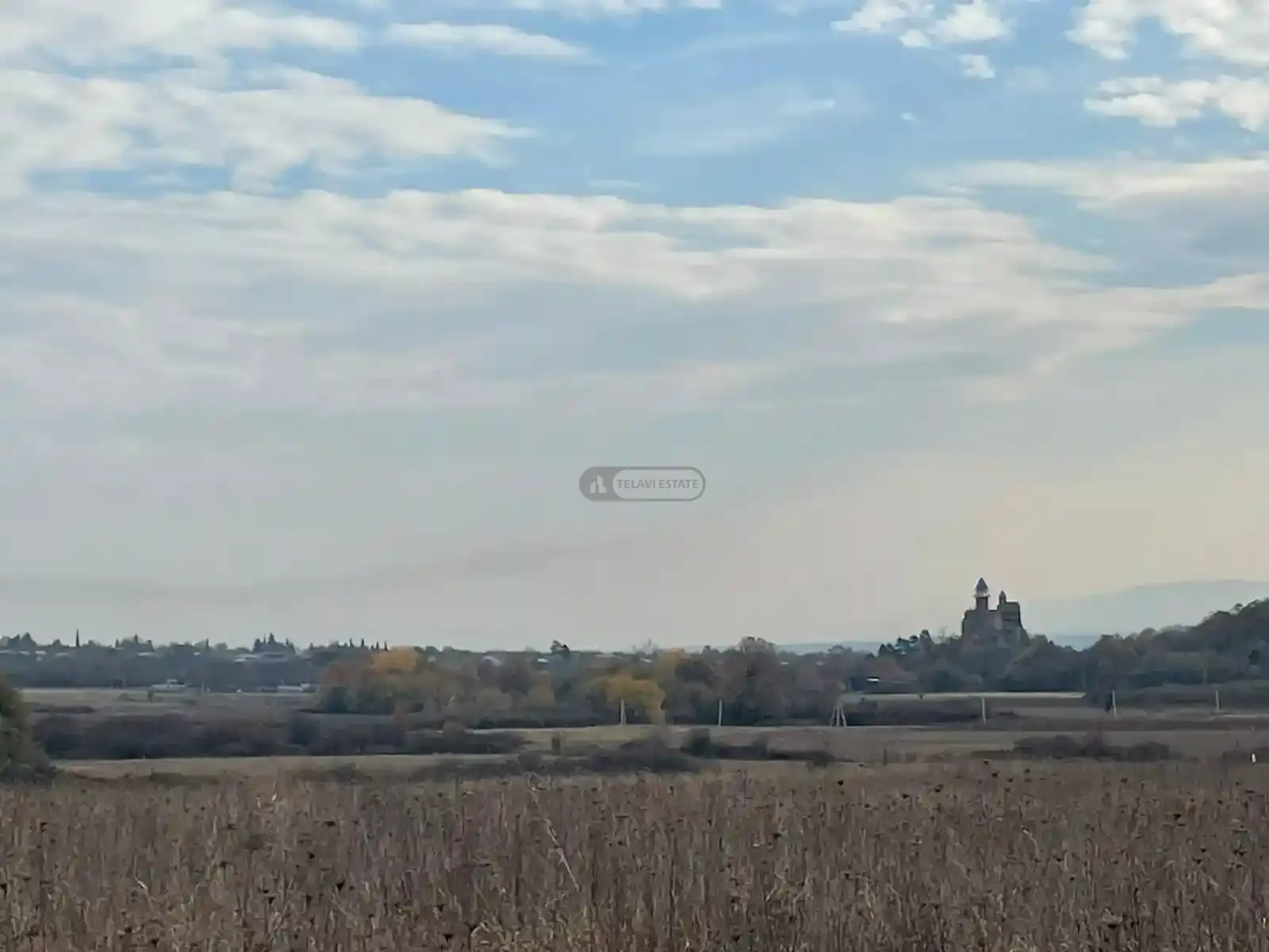 Large Land Plot for Sale in Gremi