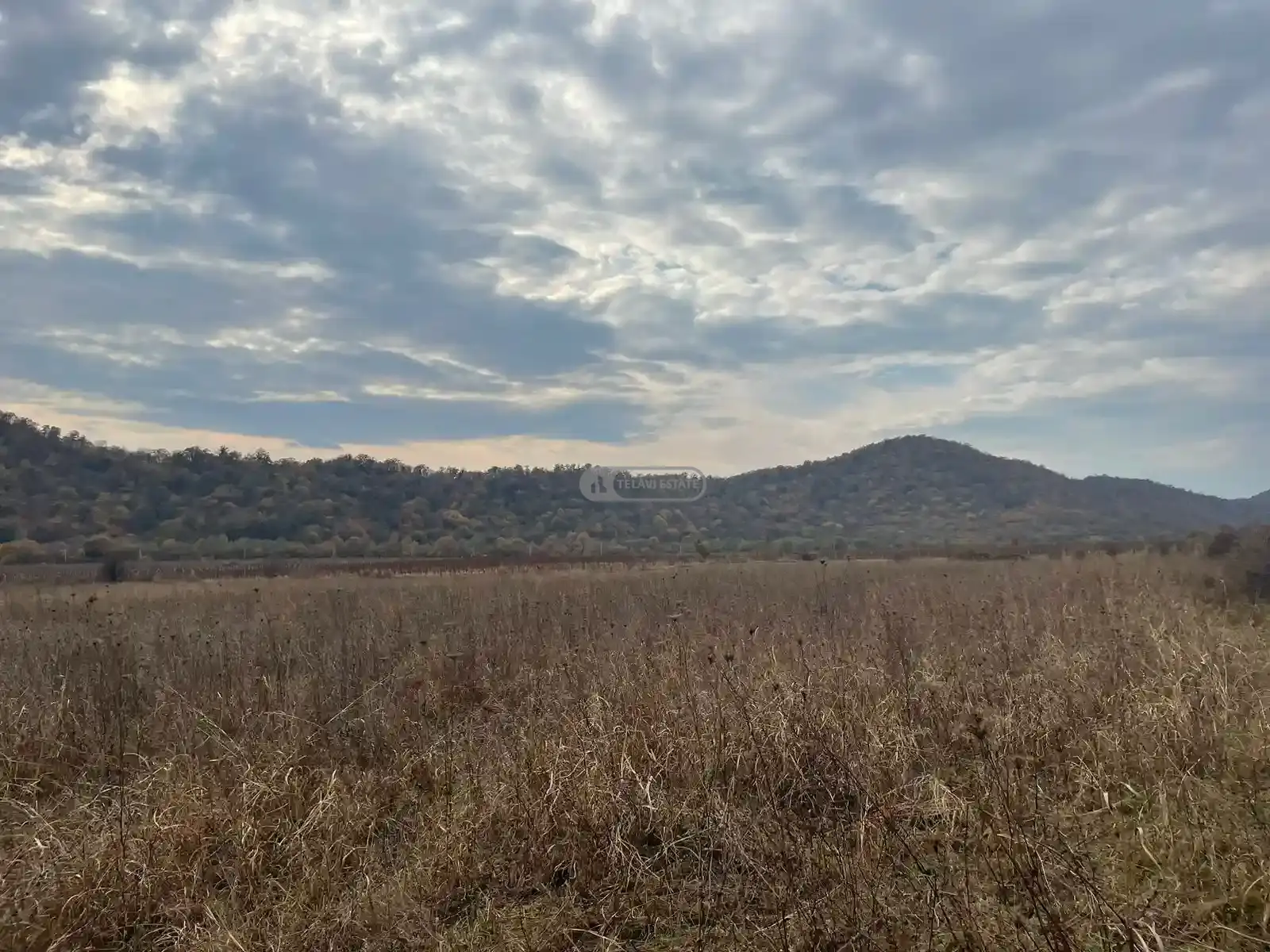 Large Land Plot for Sale in Gremi