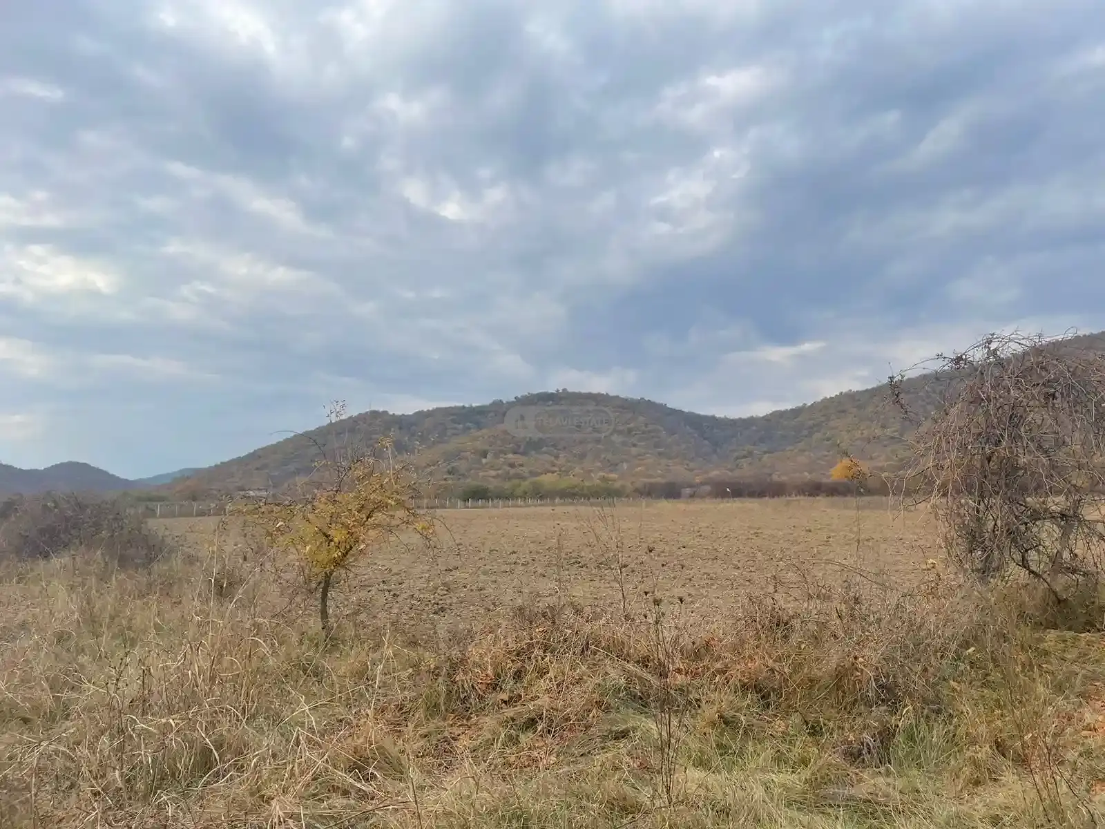 Large Land Plot for Sale in Gremi
