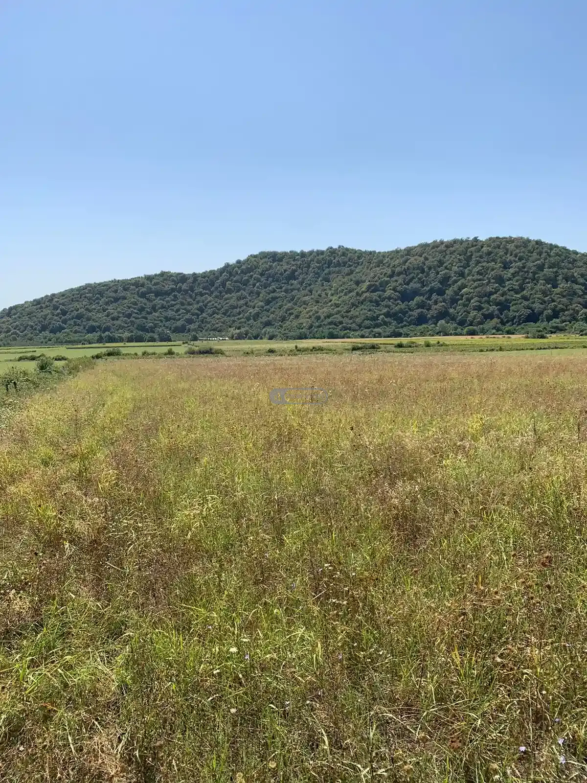 Large Land Plot for Sale in Gremi