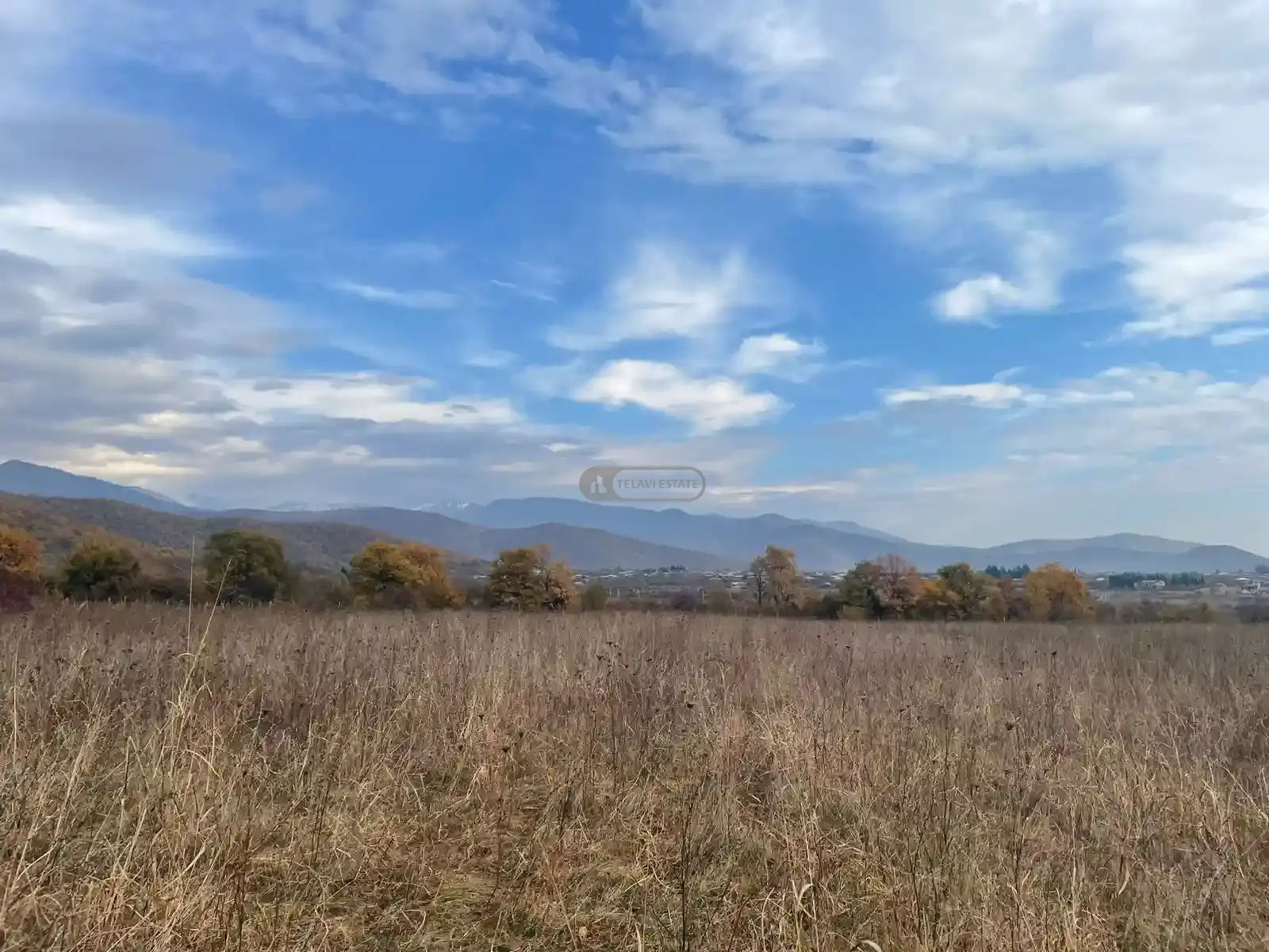 Large Land Plot for Sale in Gremi