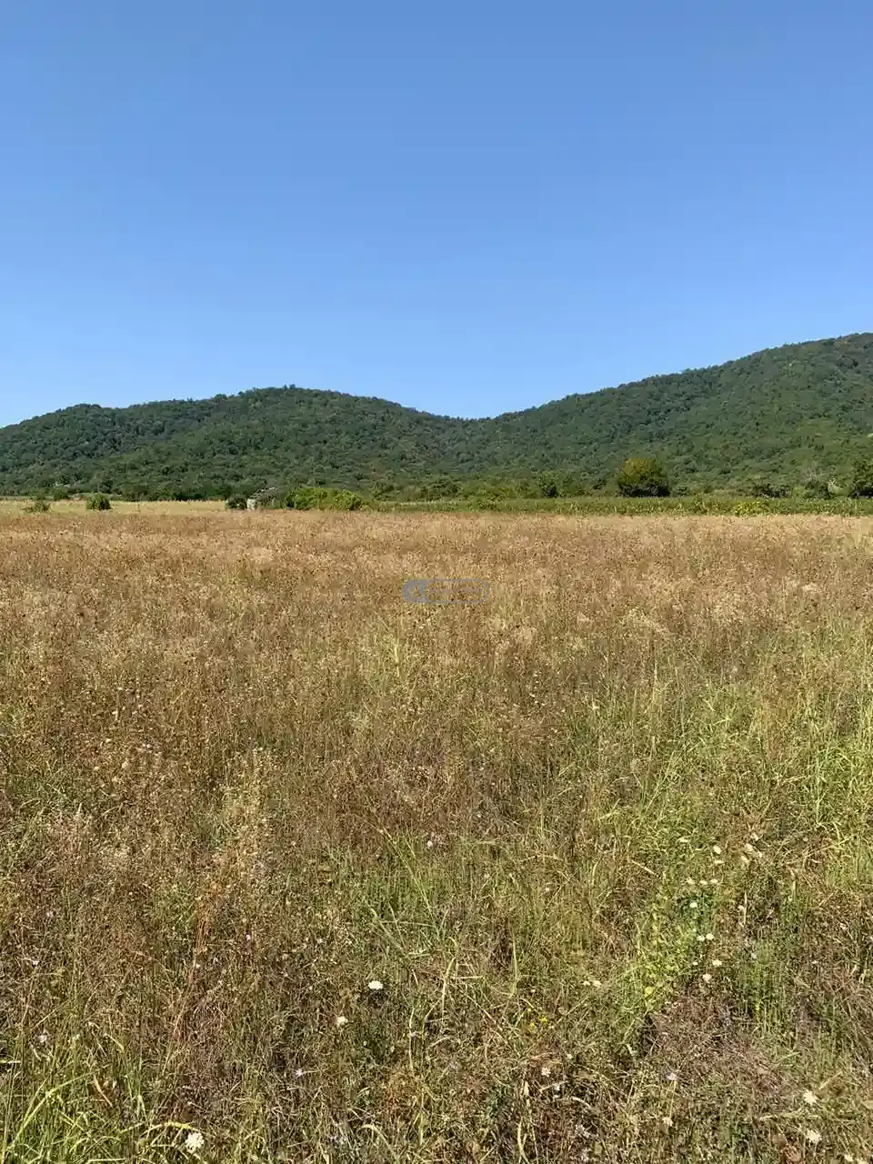 Large Land Plot for Sale in Gremi