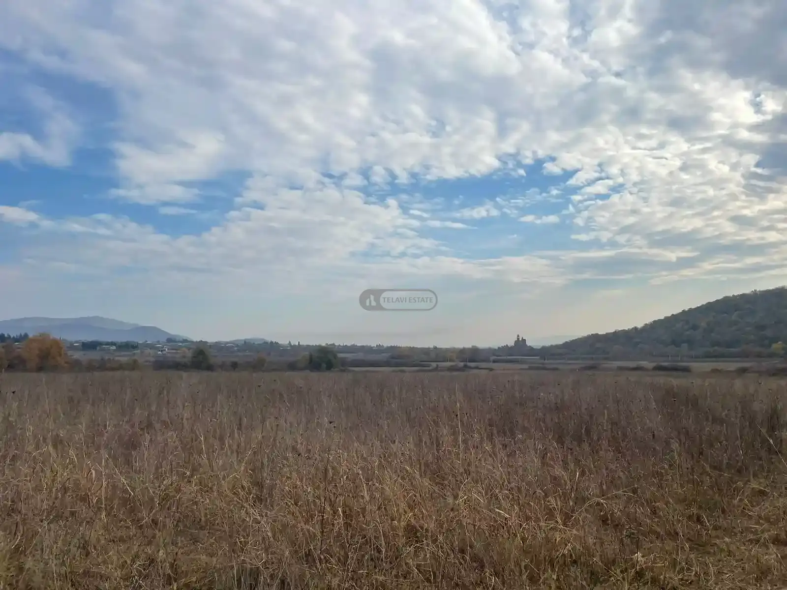 Large Land Plot for Sale in Gremi