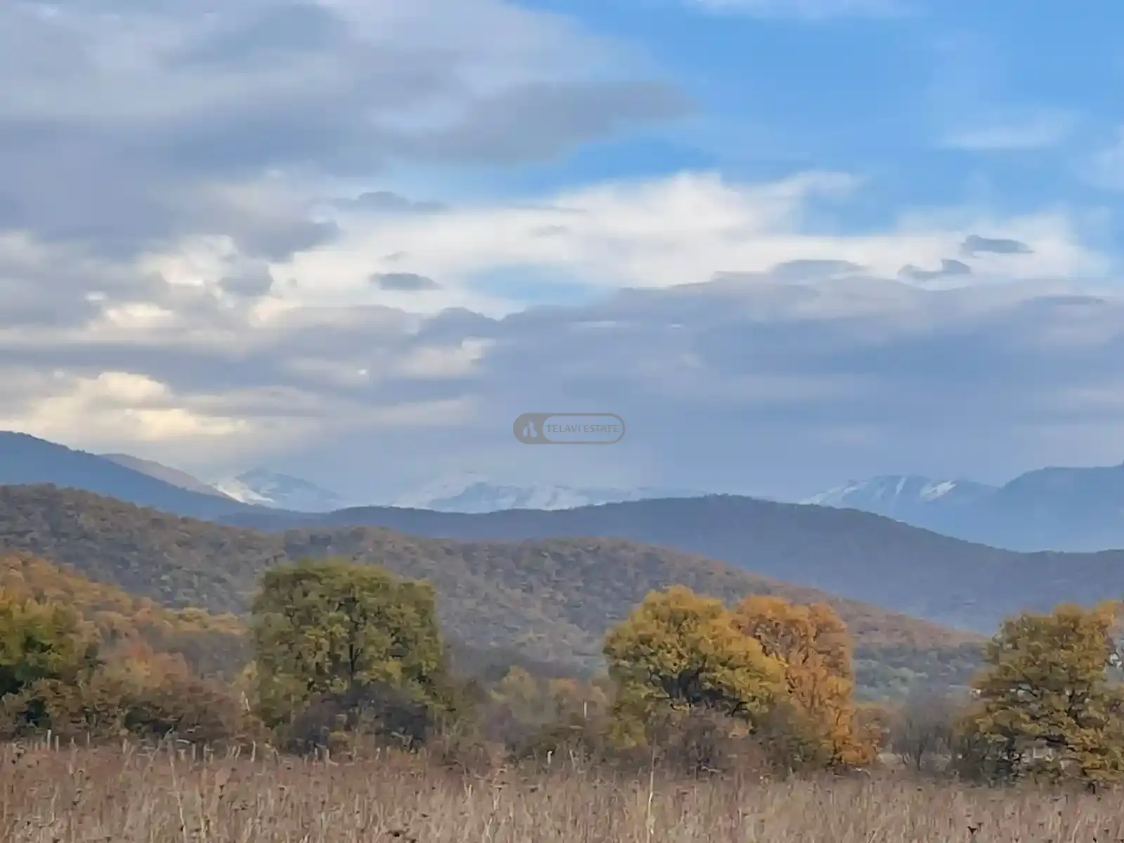 Large Land Plot for Sale in Gremi