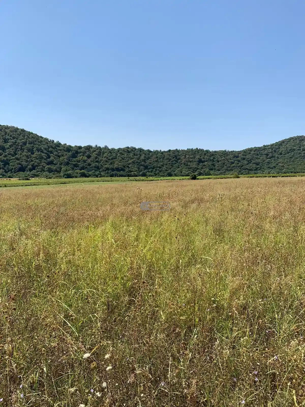 Large Land Plot for Sale in Gremi