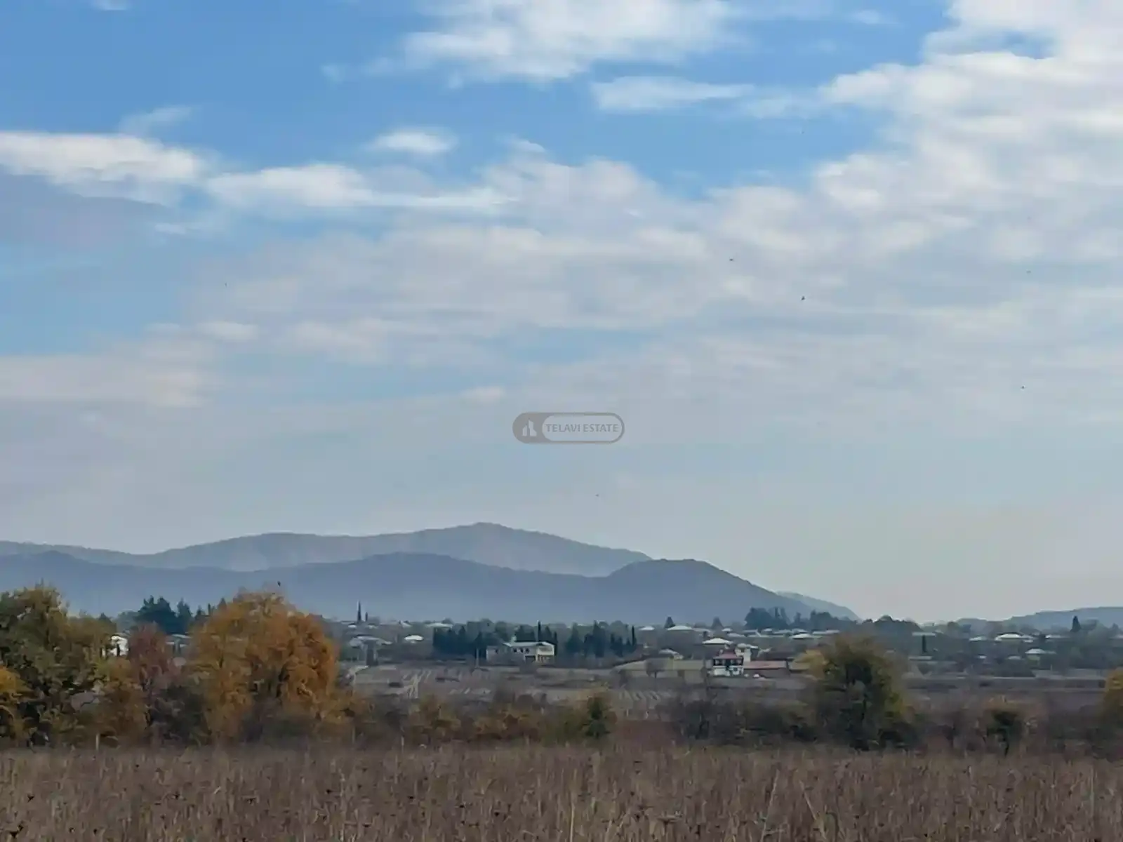 Large Land Plot for Sale in Gremi