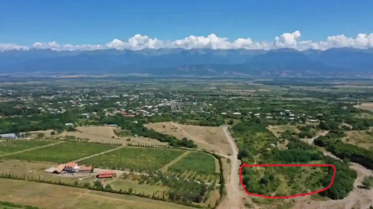 მიწის ნაკვთი შალაურში