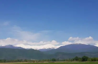 მიწის ნაკვეთი აეროპორტთან