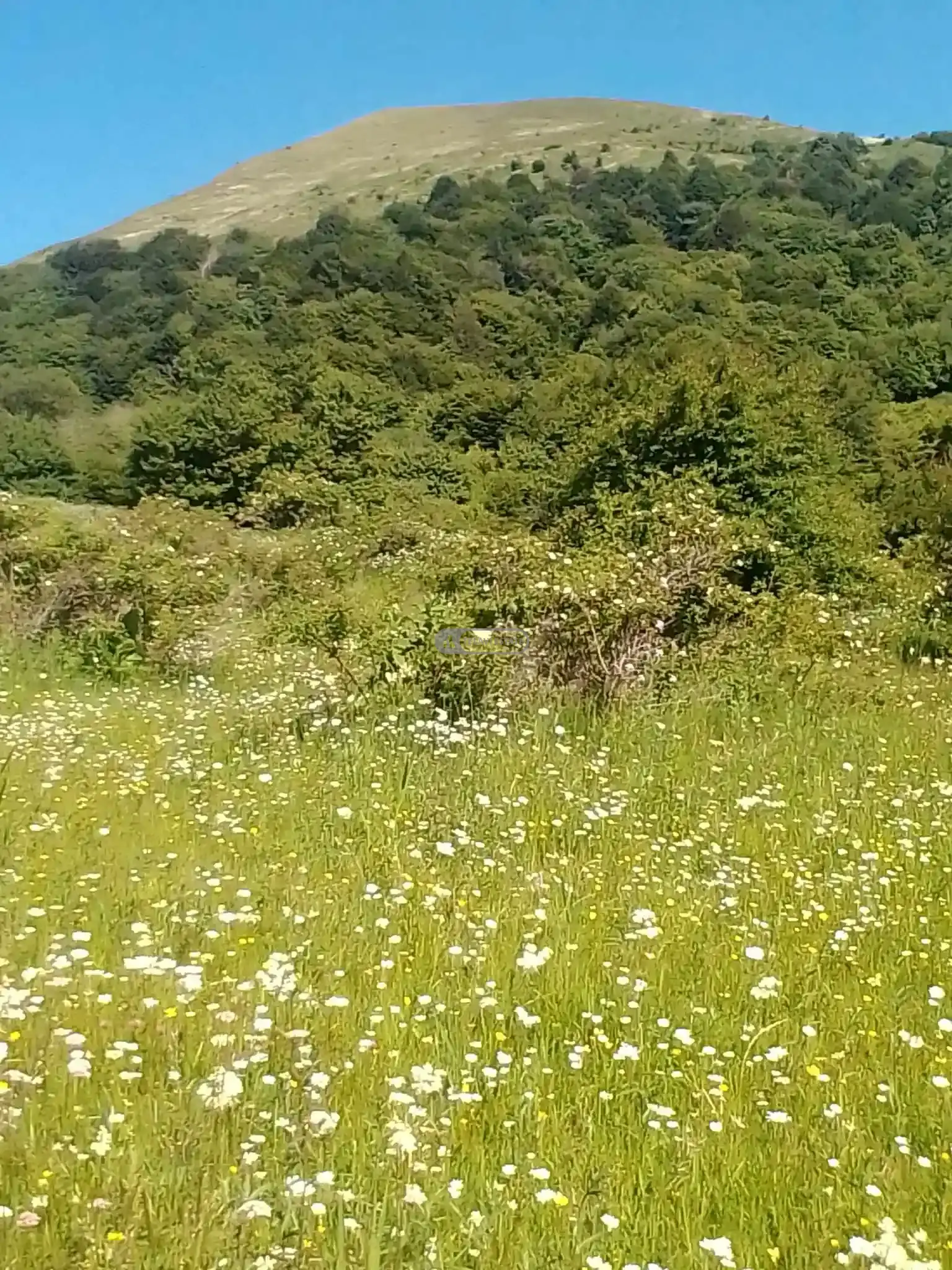 Land Plot in Tetritskhlebi