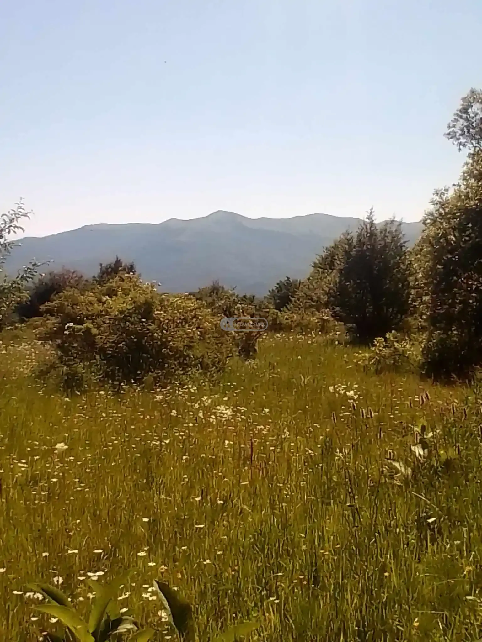 Land Plot in Tetritskhlebi