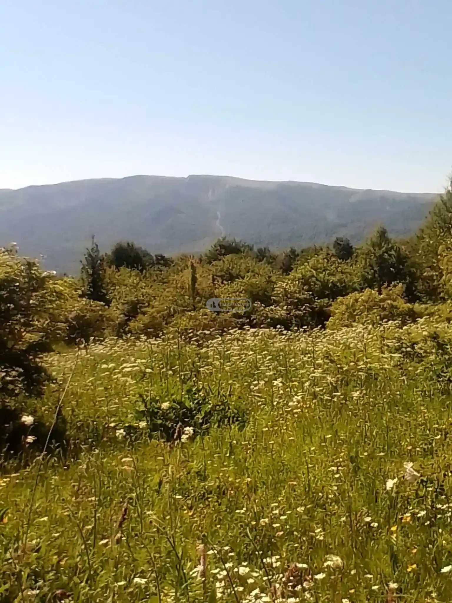 Land Plot in Tetritskhlebi