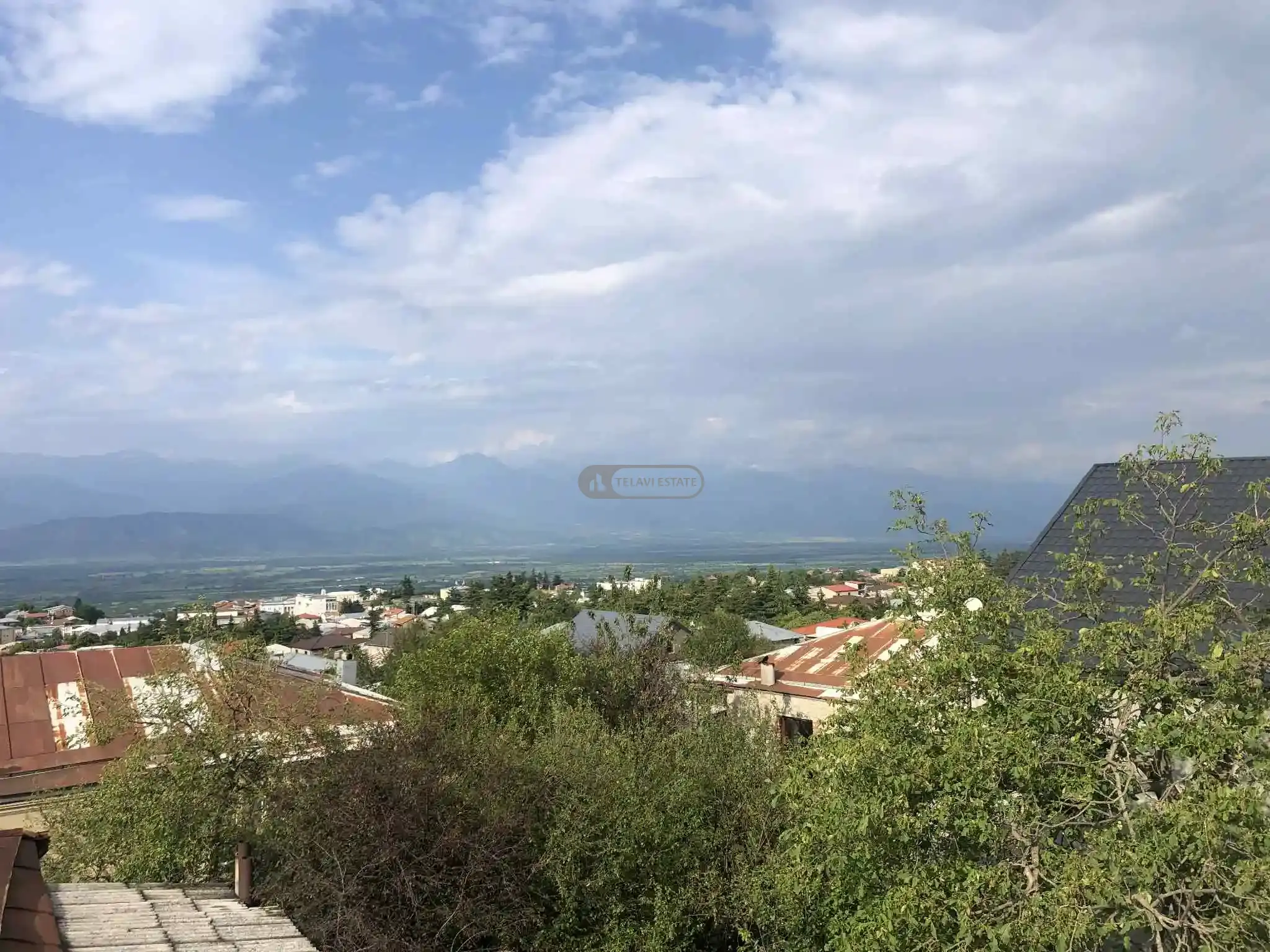 ორსართულიანი სახლი ქალაქ თელავში
