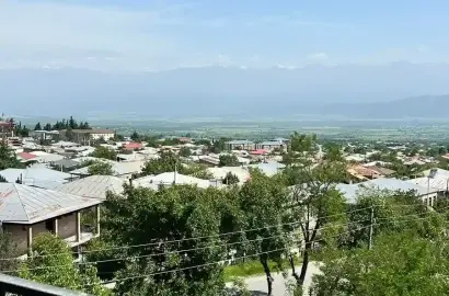 2 ოთახიანი ბინა თელავში