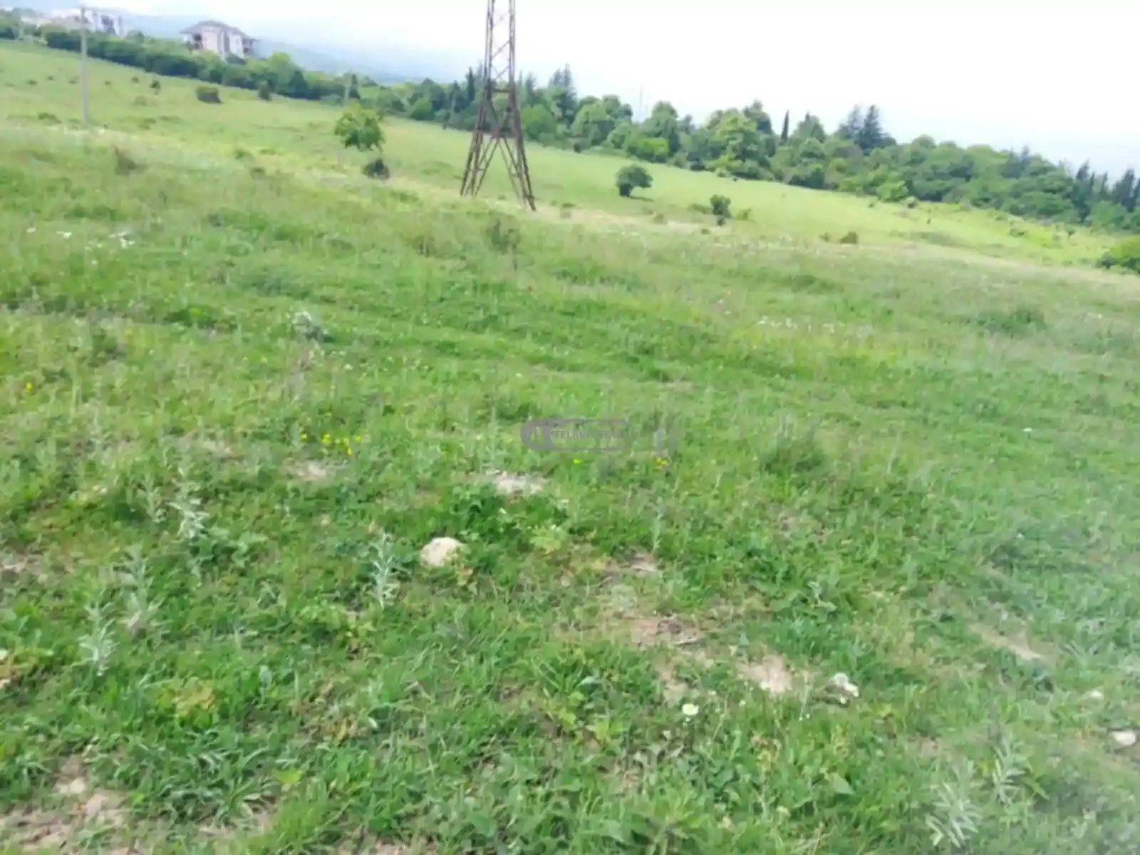 მიწის ნაკვეთი ვარდისუბანში