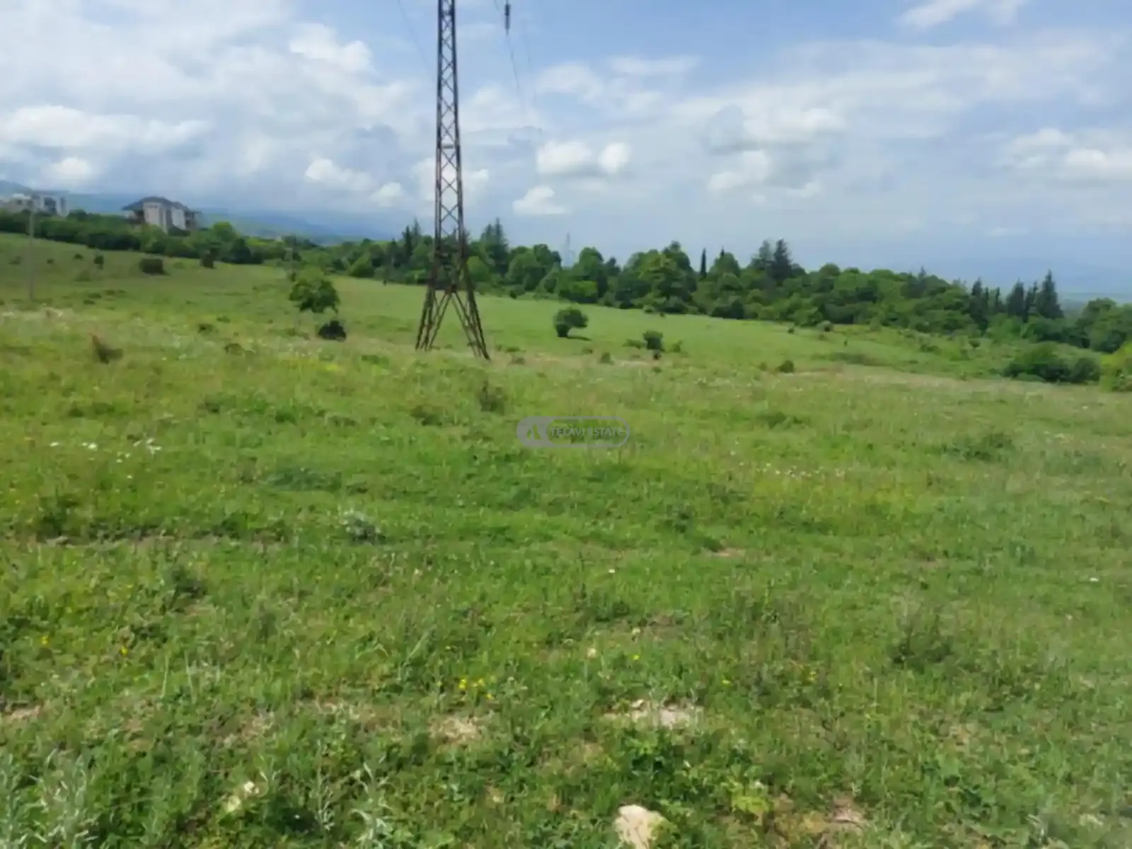მიწის ნაკვეთი ვარდისუბანში
