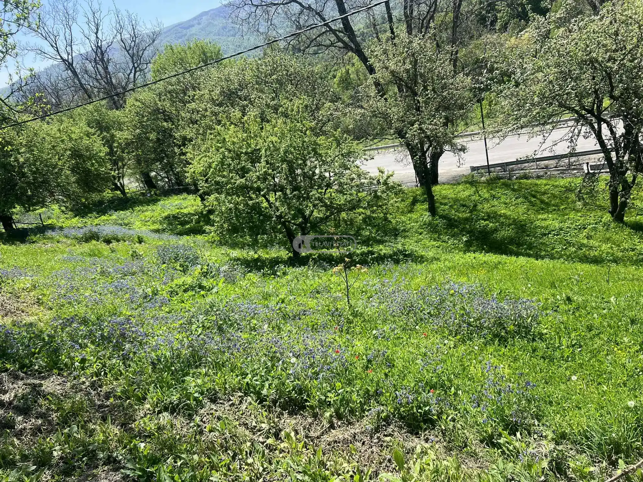 Land plot in Kobadze