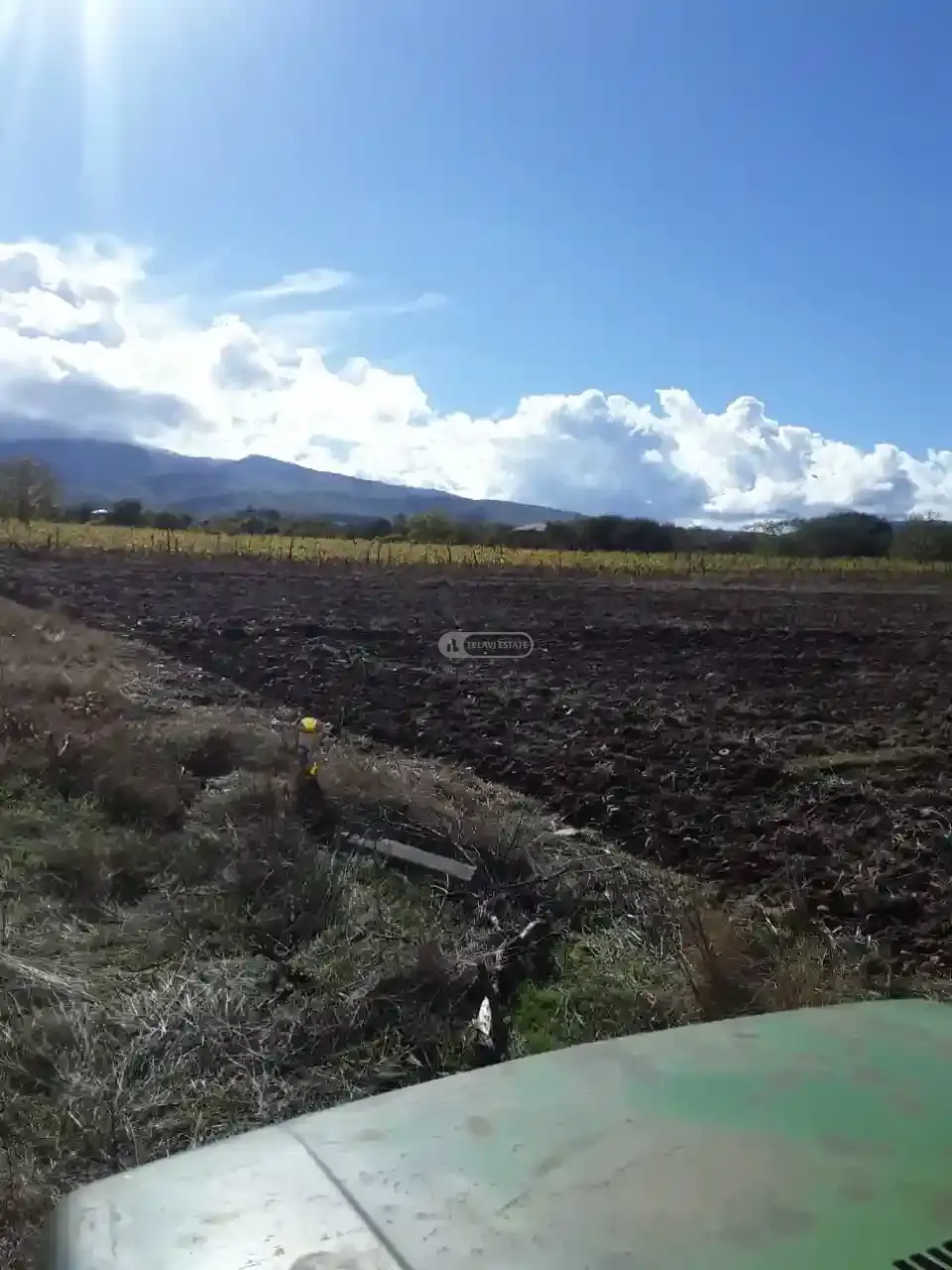 Panoramic Land Plot for Sale in Vardisubani