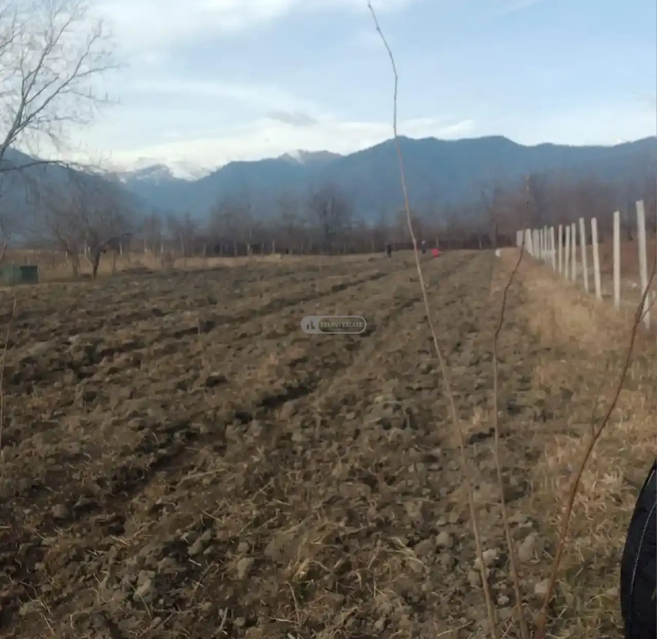 Land for Sale in Kvareli