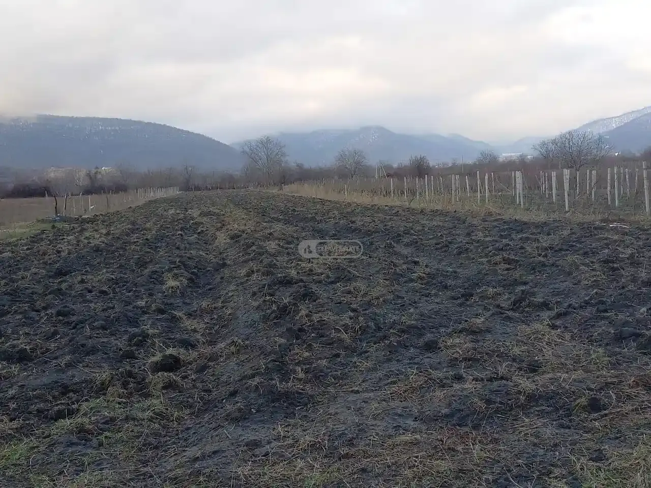 Land for Sale in Kvareli