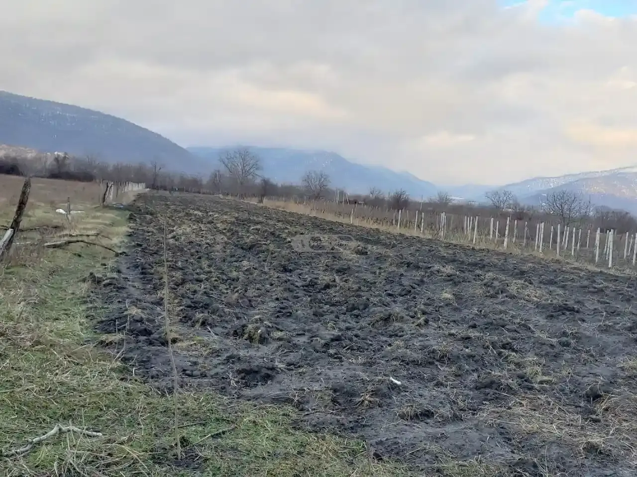 Land for Sale in Kvareli