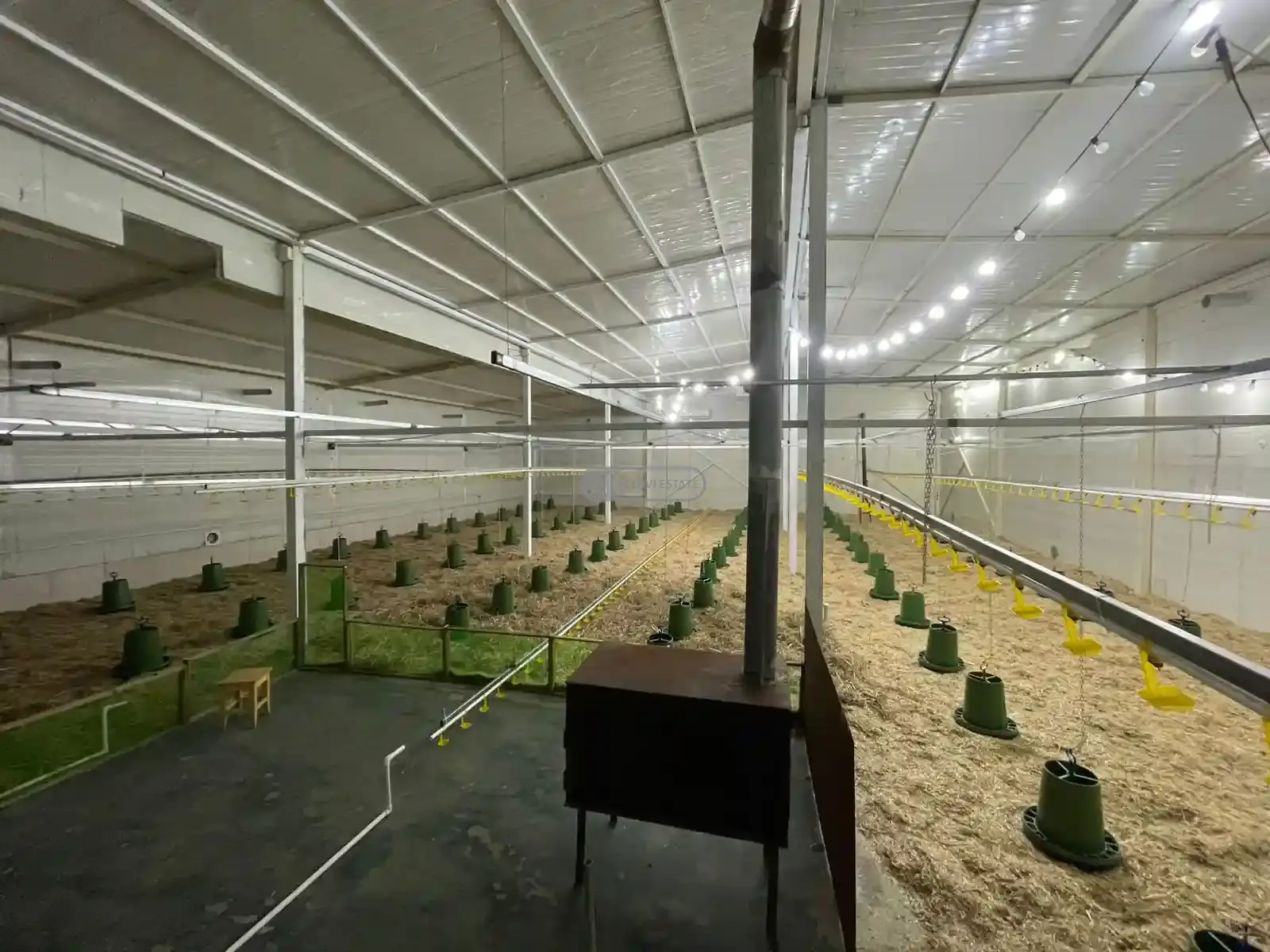 Commercial property in Shalauri