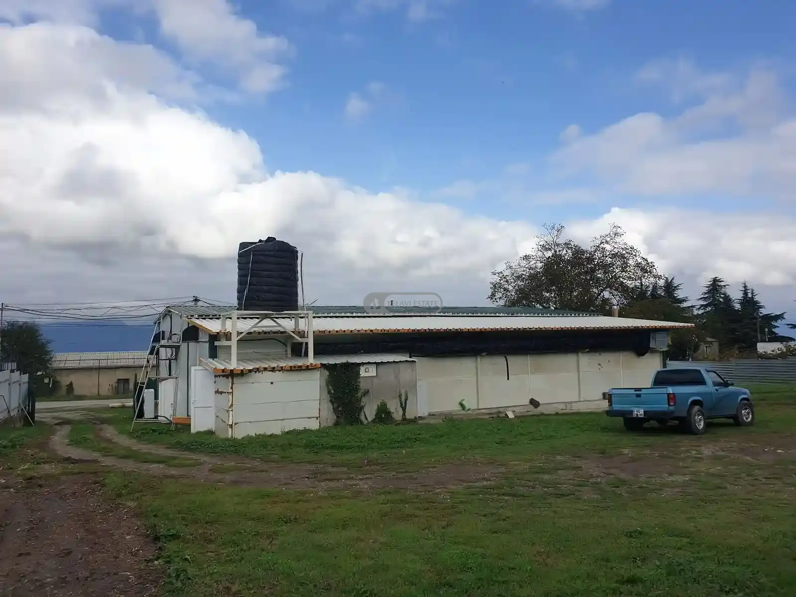 Commercial property in Shalauri