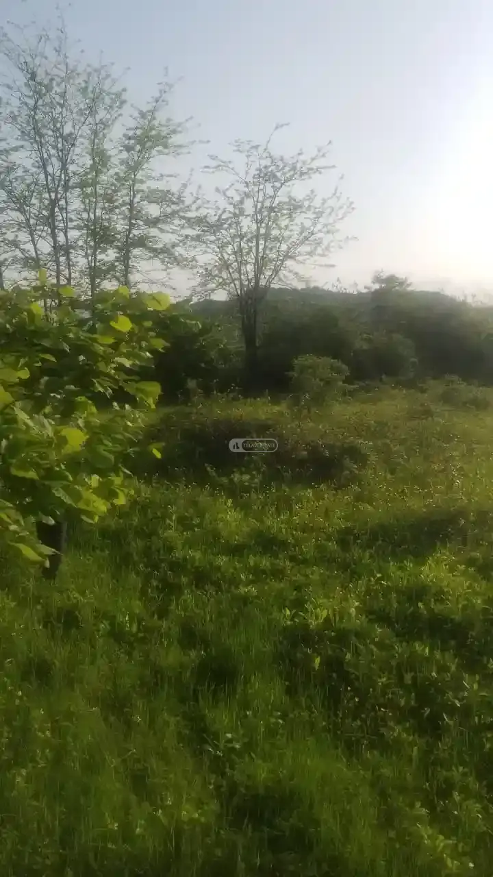 Land for Sale in Gremi