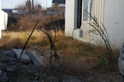 Земельный участок несельскохозяйственного назначения в Телави