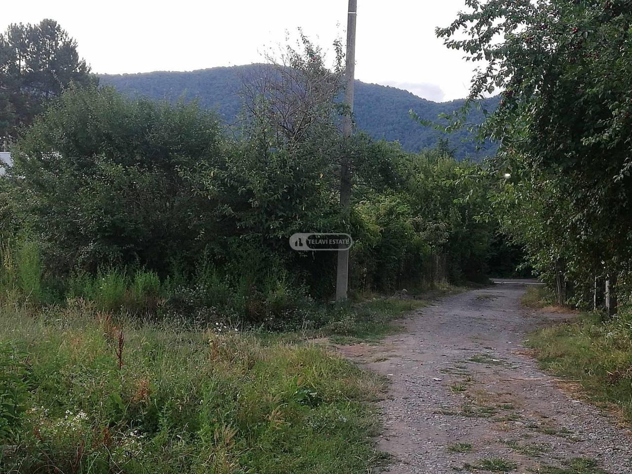 Бельэтажный дом в Артана