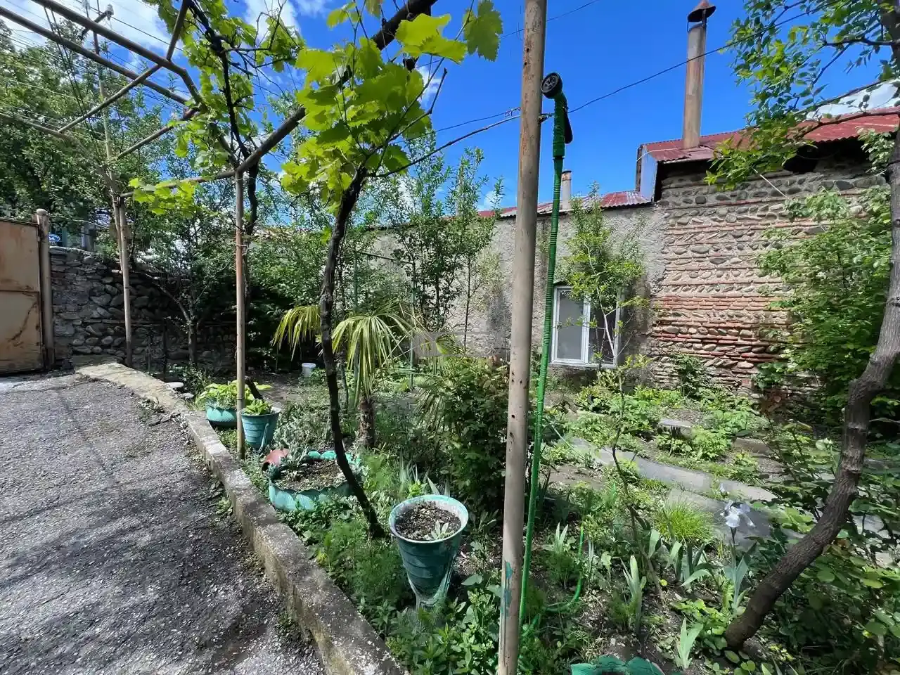 სახლი თელავში