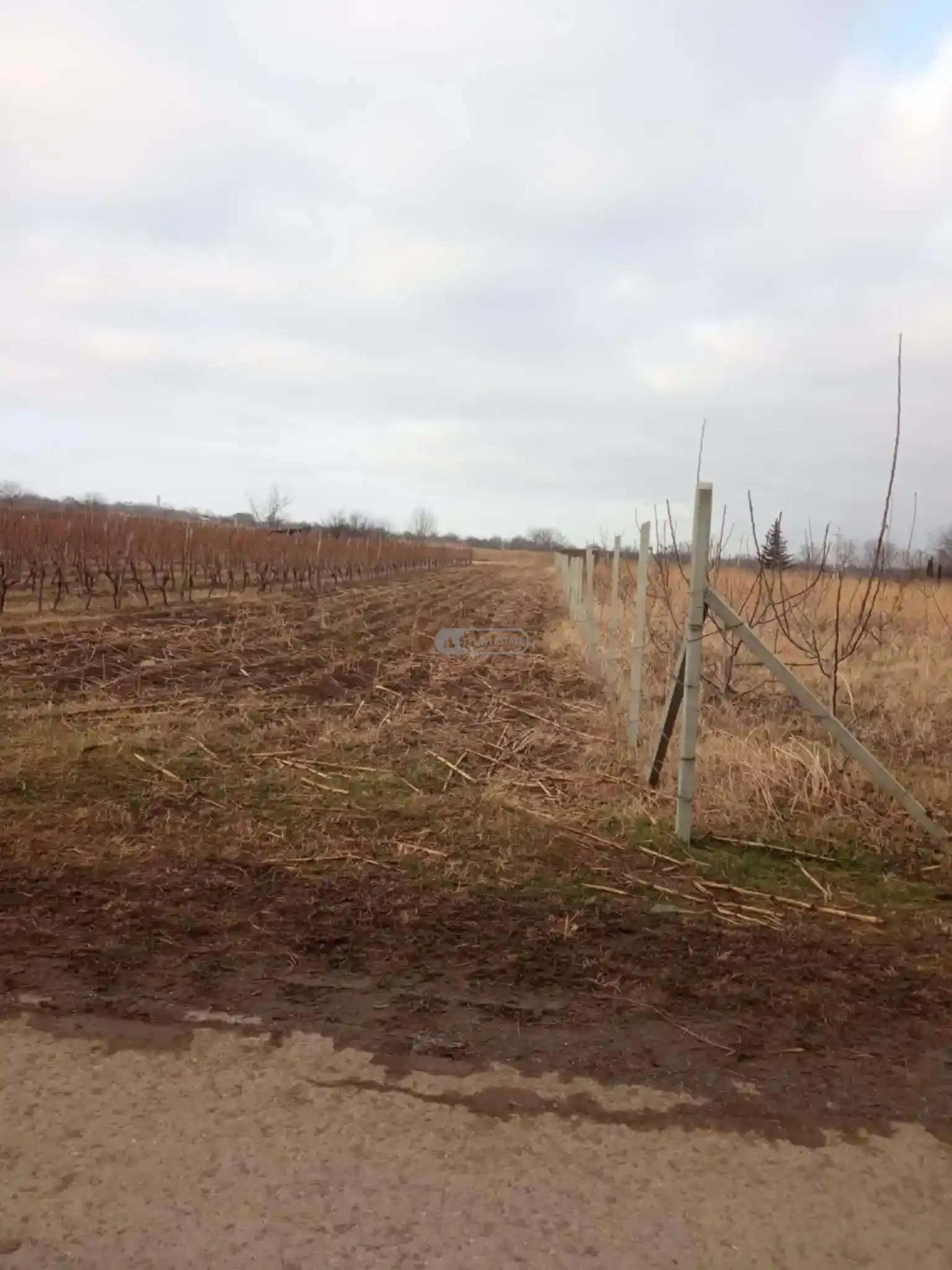 Land Plot in Kurdgelauri Village
