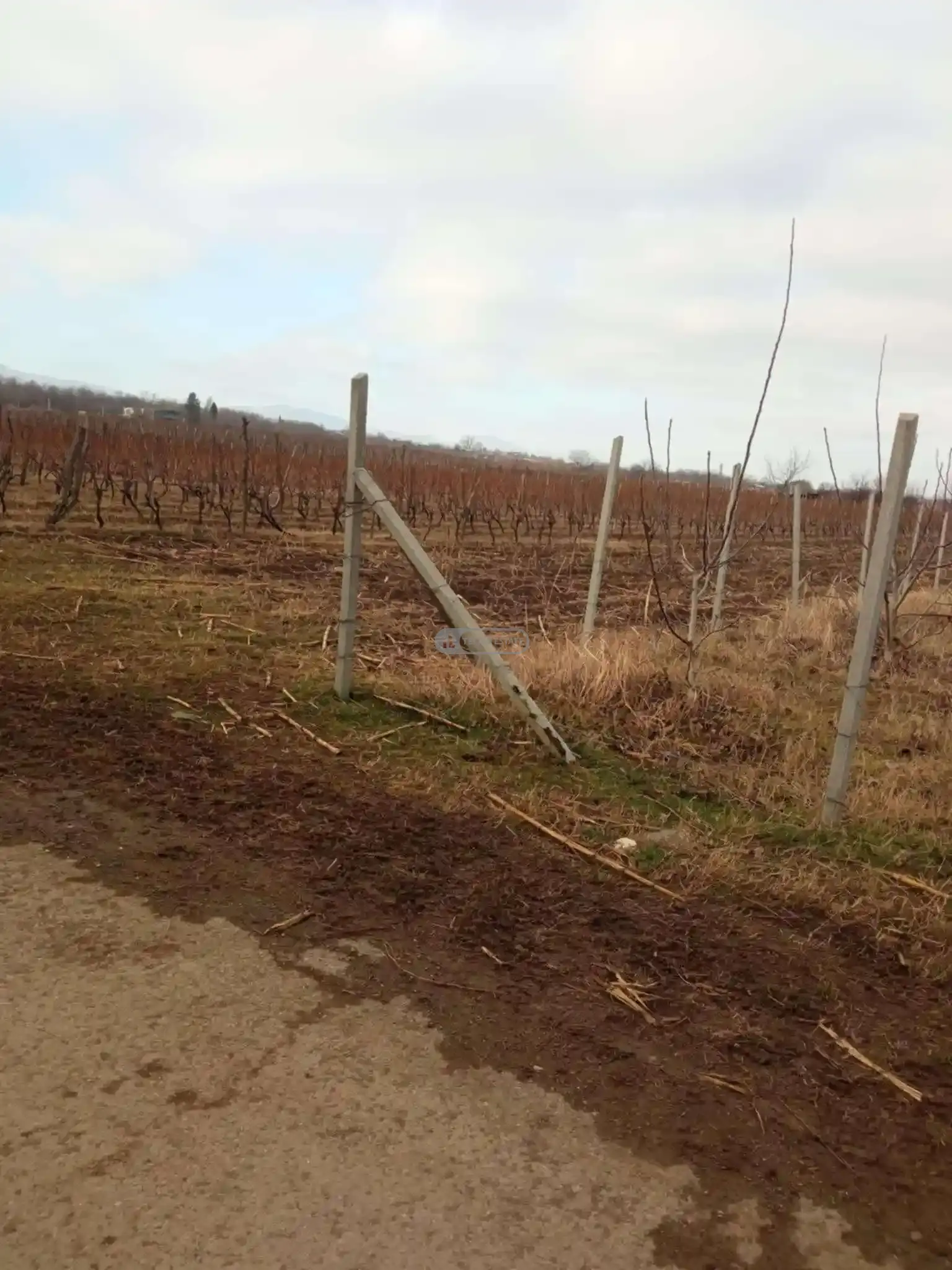 Land Plot in Kurdgelauri Village