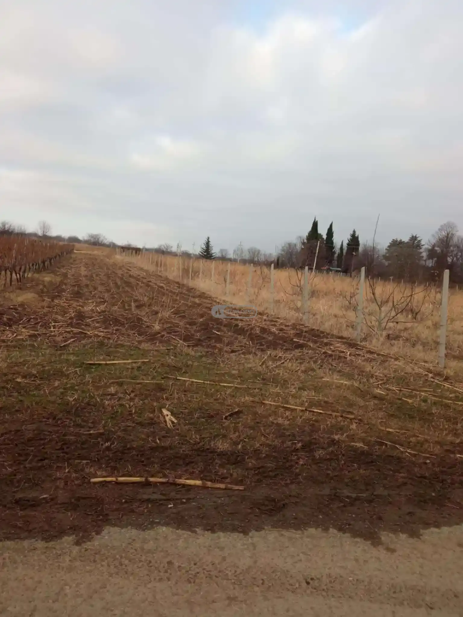 Land Plot in Kurdgelauri Village