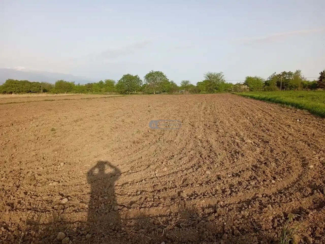 Land plot in Gulgula