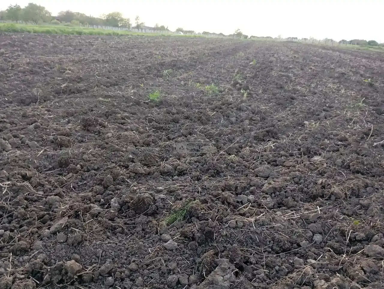 Land plot in Gulgula