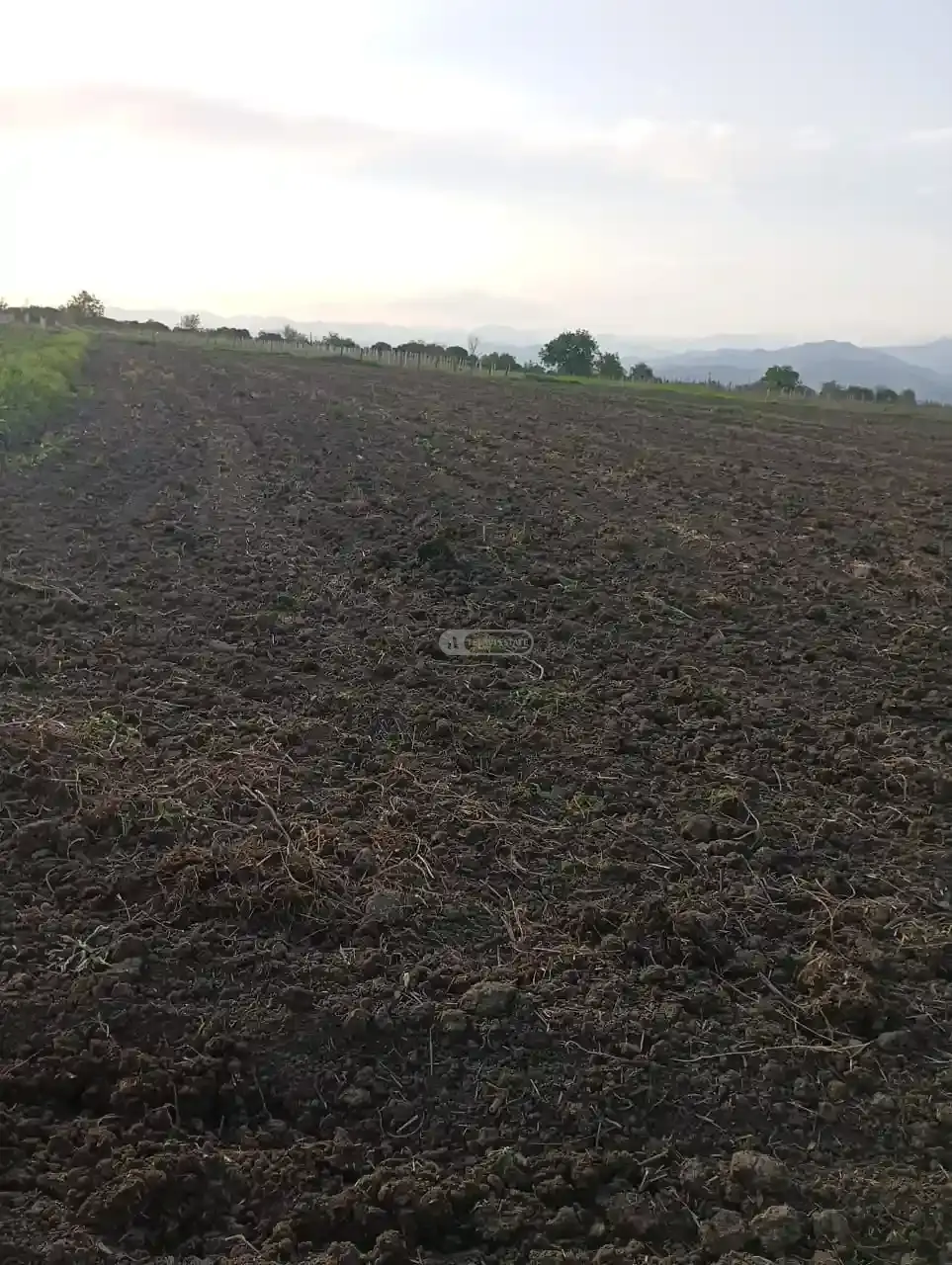 Land plot in Gulgula