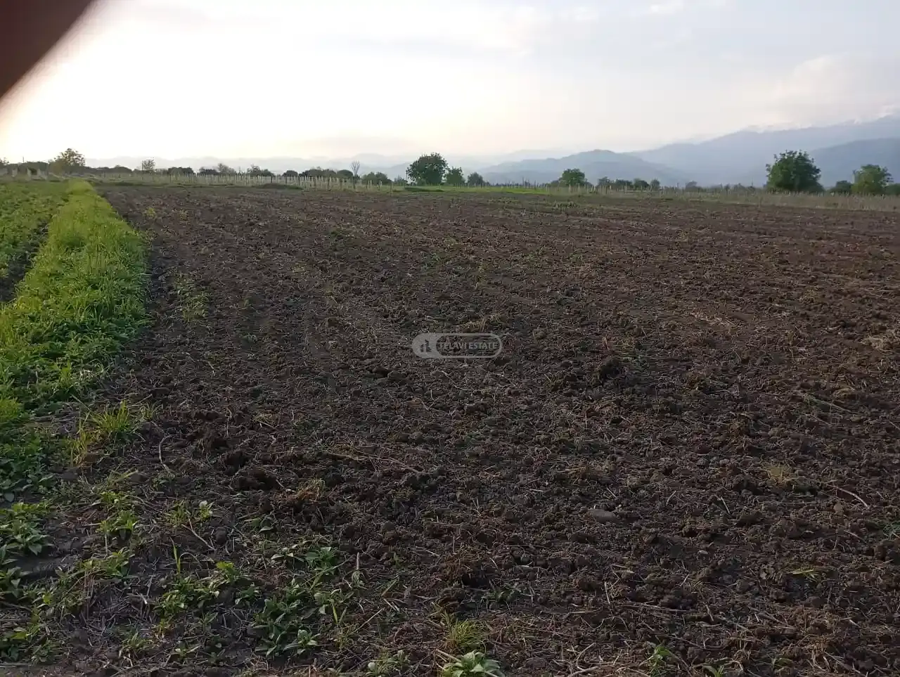 Land plot in Gulgula