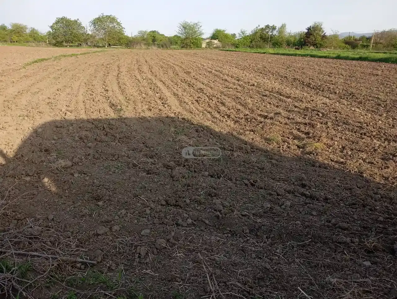 Land plot in Gulgula