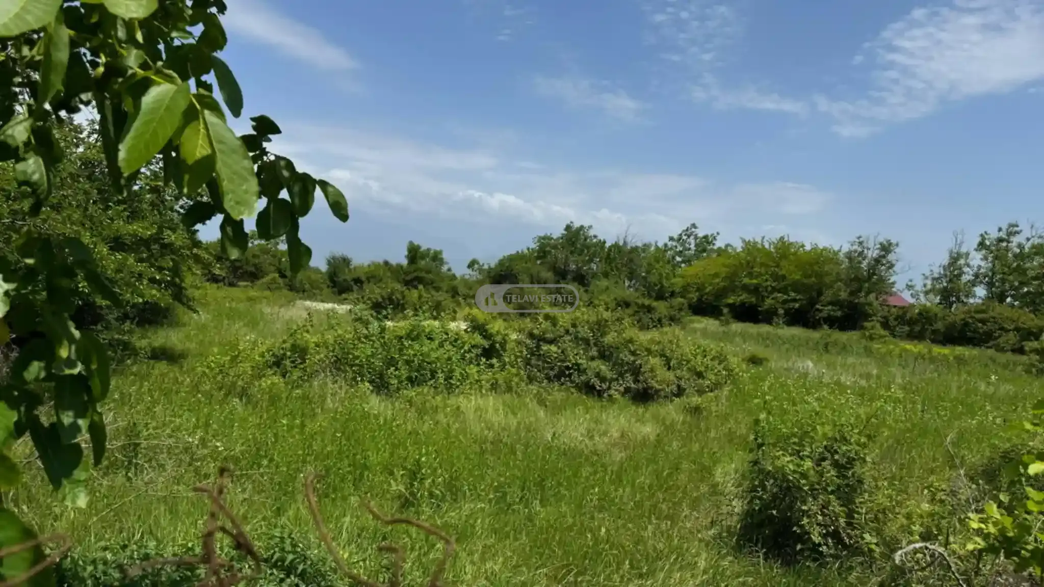 Land Plot for Sale in Ruispiri