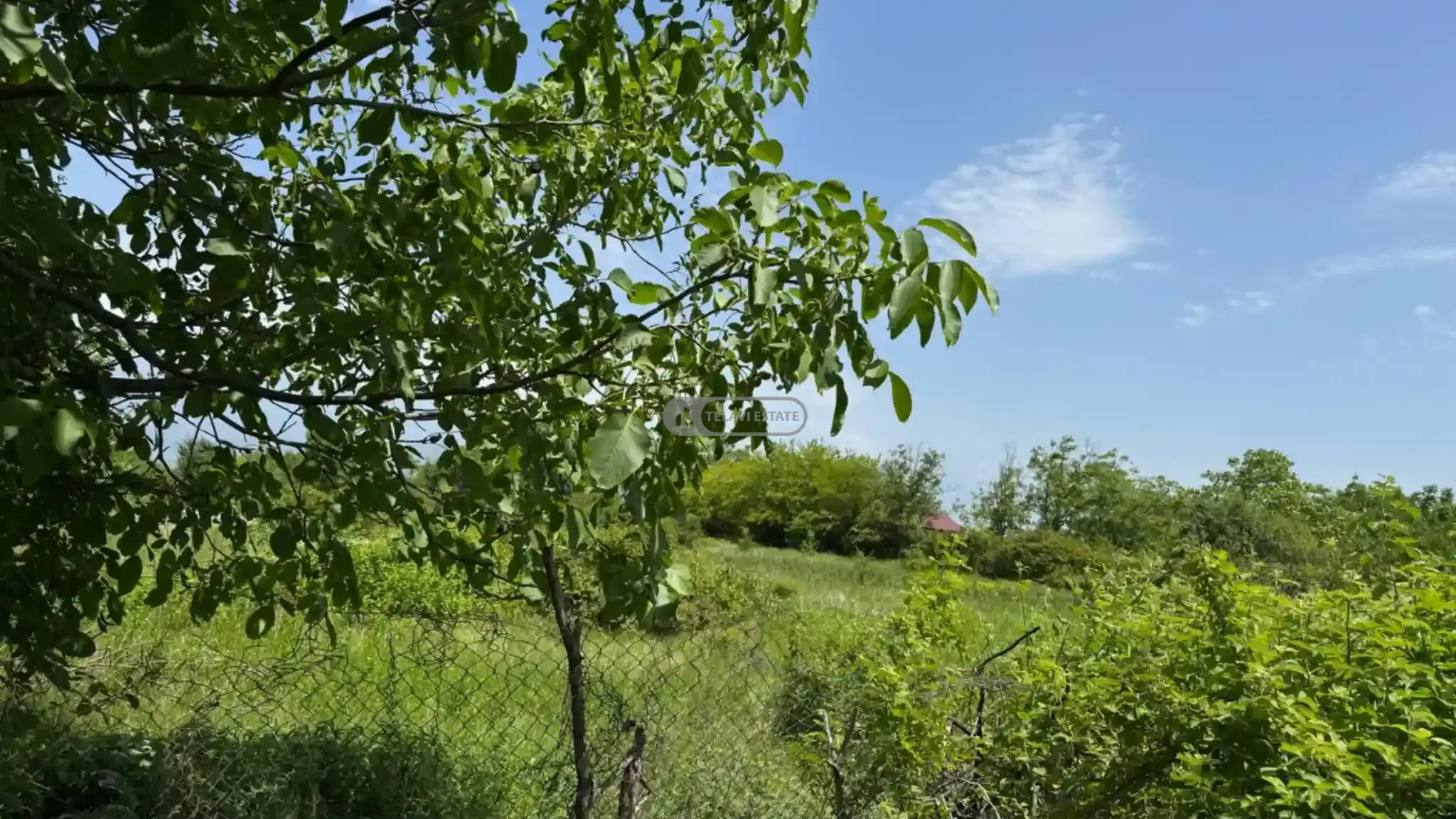 Land Plot for Sale in Ruispiri