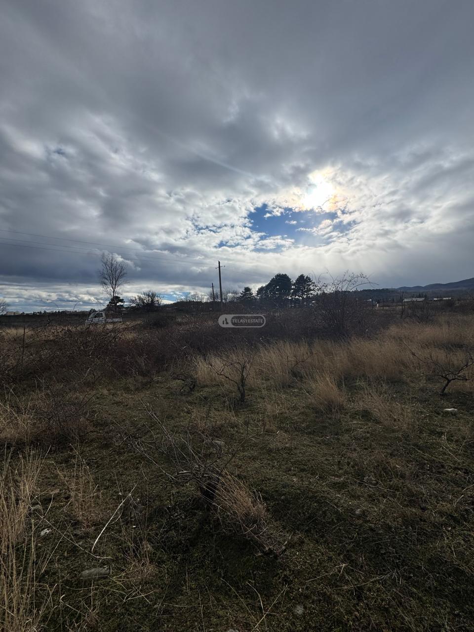 მიწის ნაკვეთი ვარდისუბანში